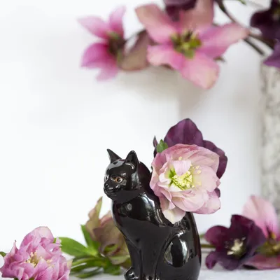 Vases - Bud Vases - QUAIL DESIGNS EUROPE BV