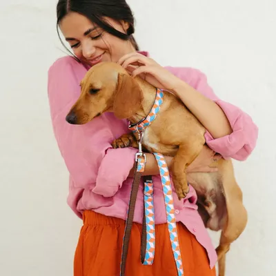 Accessoires animaux - BROTT - BAZAR BUM BUM