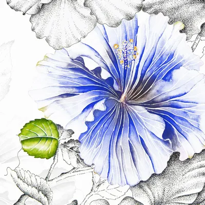 Tapisseries - Papier peint panoramique Rose De Chine - LE PAPIERS DE NINON