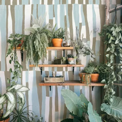 Tapisseries - Papier peint panoramique TIÉBÉLÉ - LE PAPIERS DE NINON