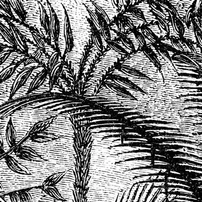 Tapestries - Aladdin panoramic wallpaper - LE PAPIERS DE NINON