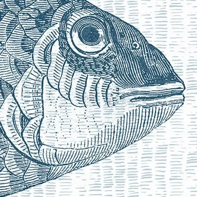 Tapisseries - Papier peint panoramique Once Upon A Fish - LE PAPIERS DE NINON