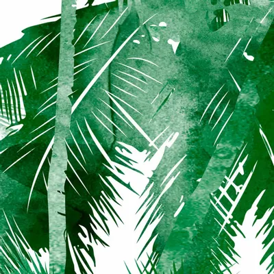 Tapisseries - Papier peint panoramique Jungle - LE PAPIERS DE NINON