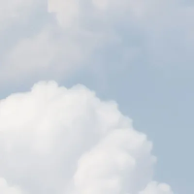 Tapisseries - Papier peint panoramique Songeen - LE PAPIERS DE NINON