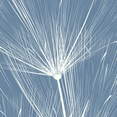 Tapisseries - Papier peint panoramique Dandelion XL - LE PAPIERS DE NINON