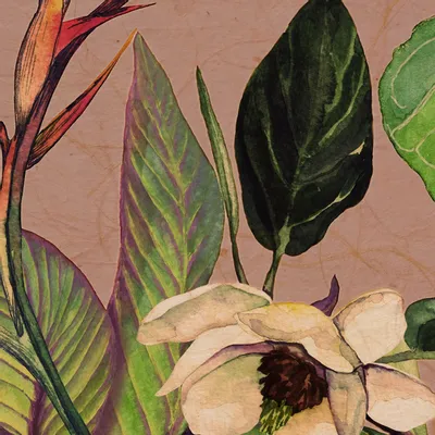 Tapisseries - Papier peint panoramique Opuntia - LE PAPIERS DE NINON