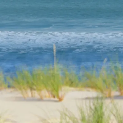 Tapisseries - Papier peint panoramique Olonna - LE PAPIERS DE NINON