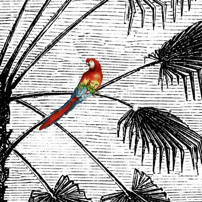 Tapisseries - Papier peint panoramique Légendaire Aladin - LE PAPIERS DE NINON