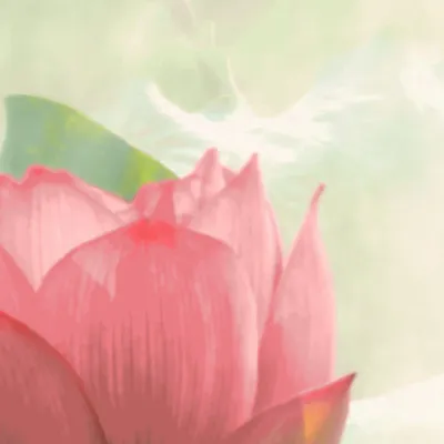 Tapestries - Lilies panoramic wallpaper - LE PAPIERS DE NINON