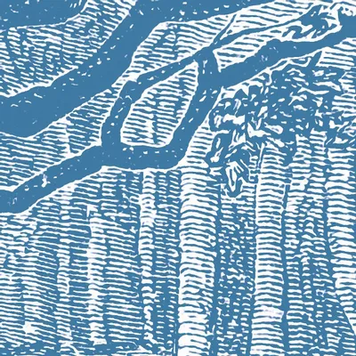 Tapisseries - Papier peint panoramique Brocéliande - LE PAPIERS DE NINON