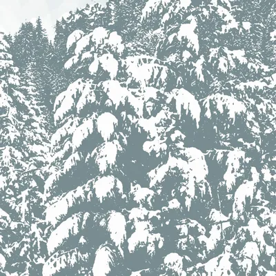 Tapisseries - Papier peint panoramique Sylvestre - LE PAPIERS DE NINON