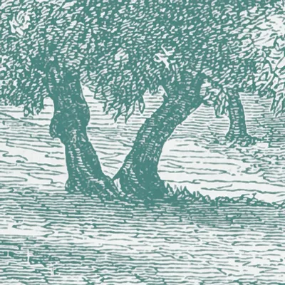 Tapestries - Capri panoramic wallpaper - LE PAPIERS DE NINON