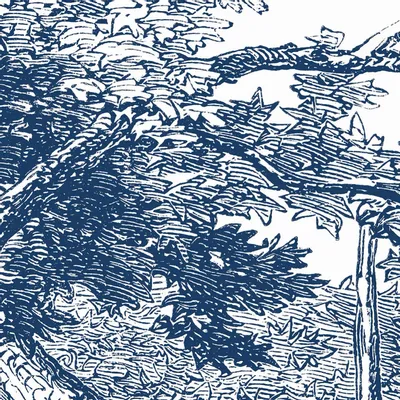 Tapestries - Garric panoramic wallpaper - LE PAPIERS DE NINON