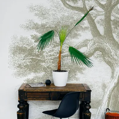 Tapisseries - Papier peint panoramique Garric - LE PAPIERS DE NINON