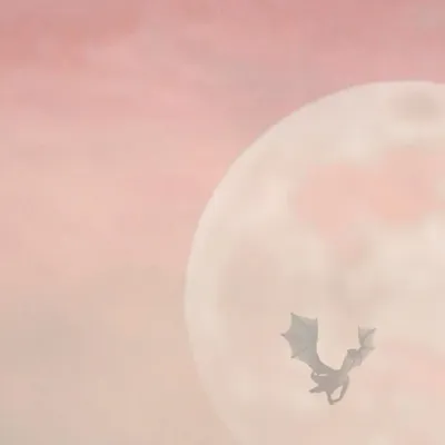 Tapisseries - Papier peint panoramique Magyar - LE PAPIERS DE NINON