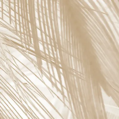 Tapisseries - Papier peint panoramique Soft - LE PAPIERS DE NINON