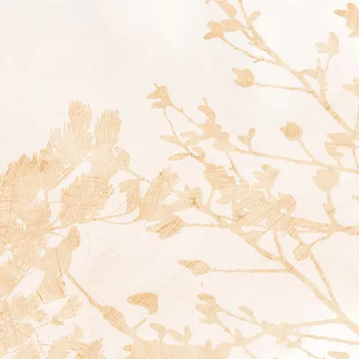 Tapisseries - Papier peint panoramique Albero - LE PAPIERS DE NINON