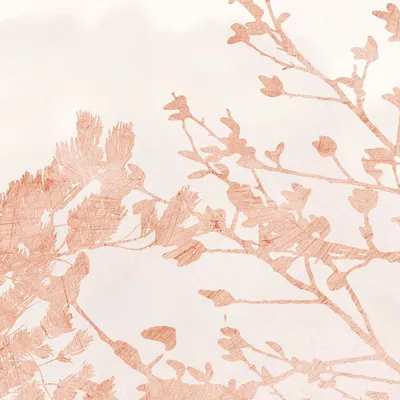 Tapestries - Albero panoramic wallpaper - LE PAPIERS DE NINON