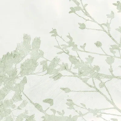 Tapisseries - Papier peint panoramique Albero - LE PAPIERS DE NINON