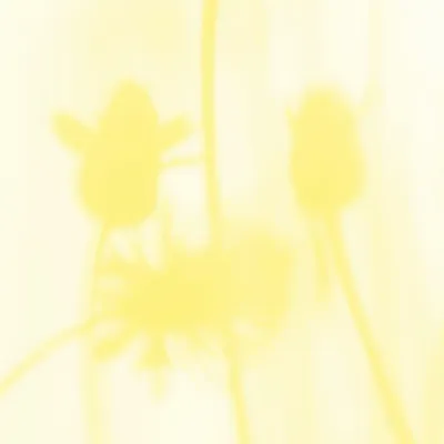 Tapisseries - Papier peint panoramique Le Chant Des Pavots - LE PAPIERS DE NINON