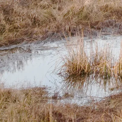 Tapisseries - Papier peint panoramique Highlands - LE PAPIERS DE NINON