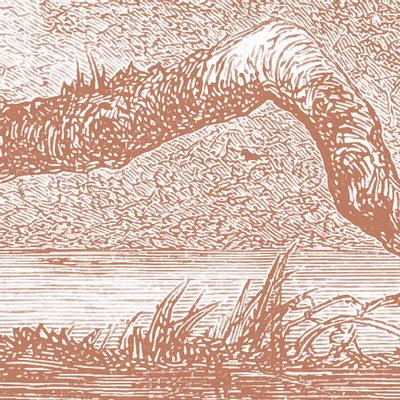 Tapisseries - Papier peint panoramique Sologne - LE PAPIERS DE NINON