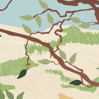 Tapisseries - Papier peint panoramique Douceur Marine - LE PAPIERS DE NINON