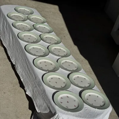 Assiettes au quotidien - Lot de 15 assiettes plates vintage turquoises liseré doré fleurs roses - OFFICE OBJETS