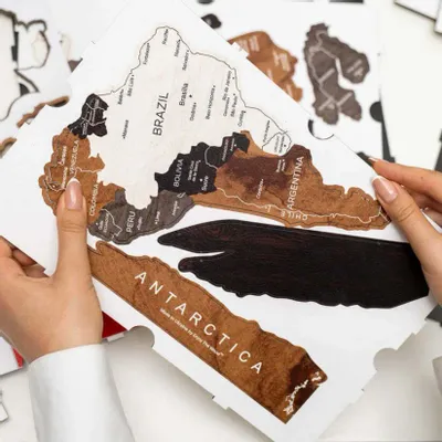 Other wall decoration - 2D Wooden World Map WoodTonedXL - ENJOY THE WOOD