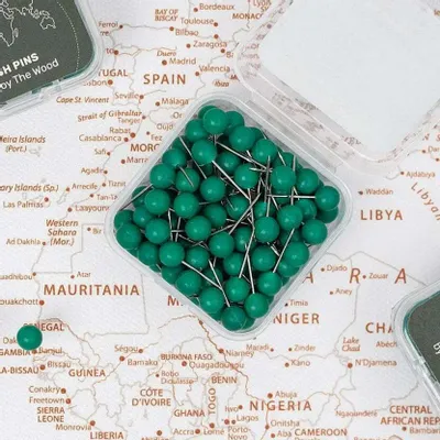 Objets de décoration - Punaises vertes - ENJOY THE WOOD