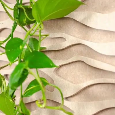 Decorative objects - Vegetal acoustic panel - Sand 60 × 40 - ARTENA VEGETAL