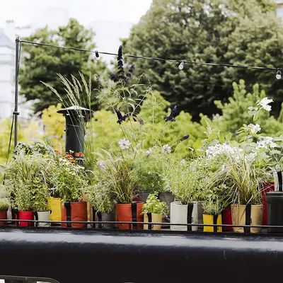 Pots de fleurs - POTS CLASSIQUES - BACSAC®