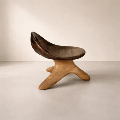 Chaises - Morphe | Fauteuil Sculpté Exclusif | Chêne Européen Massif - NEXART