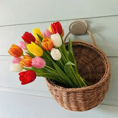 Objets de décoration - PATÈRE AN ACIER PERLE - DECO-GEM