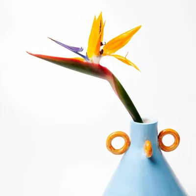 Vases - Vase Ramina - ARIANNA DE LUCA