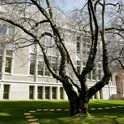 Decorative objects - Pedra Tosca Flooring - ACL - A CIMENTEIRA DO LOURO