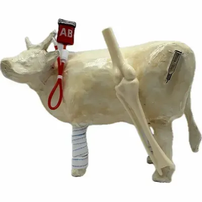 Design objects - Decorative cow the COWl of the femur - VACHES ET COMPAGNIE