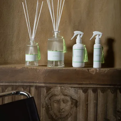 Parfums d'intérieur - MINITRIGGER 100ML AME' VERDE - AMÉ