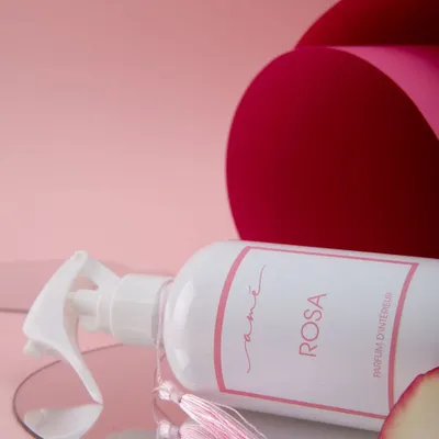 Parfums d'intérieur - MINITRIGGER 100ML AME' ROSA - AMÉ