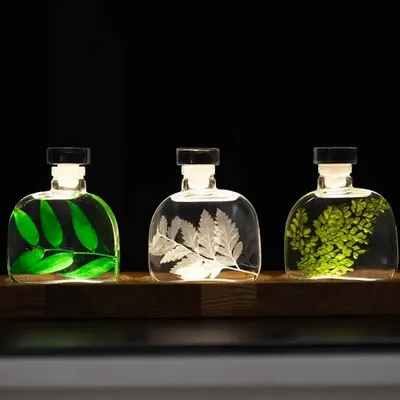 Decorative objects - Theophile's Herbarium — submerged plants and flowers - THEOPHILE BERTHON