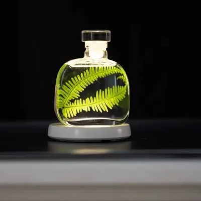 Decorative objects - Theophile's Herbarium — White Leather - Sustainable Botanical Capsule - THEOPHILE BERTHON