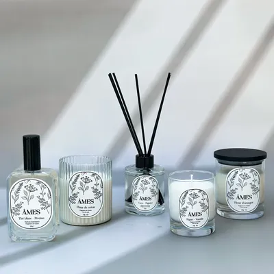 Diffuseurs de parfums - Diffuseur de parfum - Collection INTEMPORELLE - ÂMES