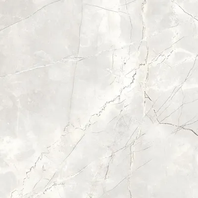 Revêtements sols intérieurs - Grès Cérame Effet Marbre Naturel Gris Clair Mat Rt 60X120 - EAPL1505 (Ceramishop.fr) - CERAMISHOP