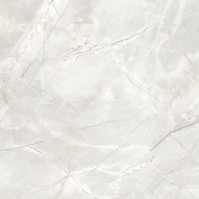 Revêtements sols intérieurs - Grès Cérame Effet Marbre Naturel Gris Clair Brillant 60X60 - EAPL1522 (Ceramishop.fr) - CERAMISHOP