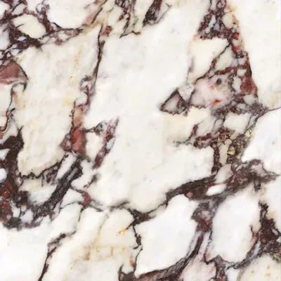 Revêtements sols intérieurs - Grès Cérame Effet Calacatta Violet Brillant 30X60 - ECVA1550 (Ceramishop.fr) - CERAMISHOP