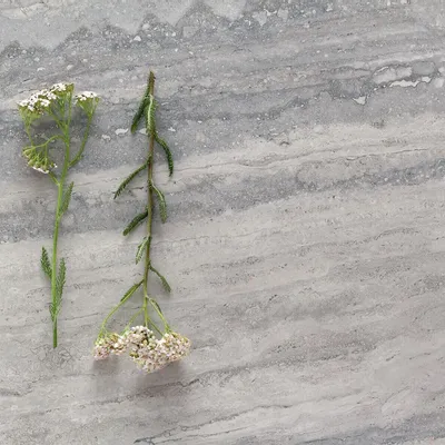 Indoor floor coverings - Matte Grey Travertine Marble Effect Porcelain Stoneware 60X120 - ENVO153 (Ceramishop.fr) - CERAMISHOP