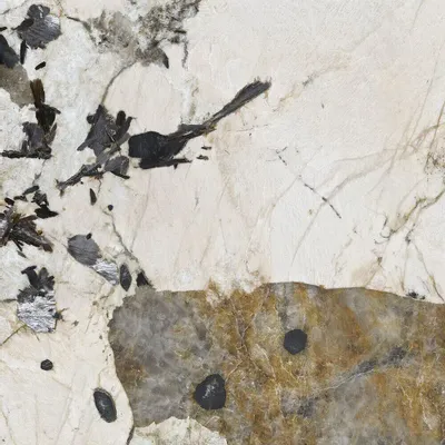 Revêtements sols intérieurs - Grès Cérame Effet Marbre Patagonie Brillant 60X120 - EPAA158 (Ceramishop.fr) - CERAMISHOP