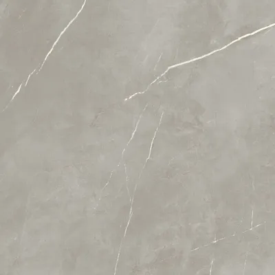 Indoor floor coverings - Royal Grey Glossy Marble Effect Porcelain Stoneware 60X120 - EPYF166 (Ceramishop.fr) - CERAMISHOP