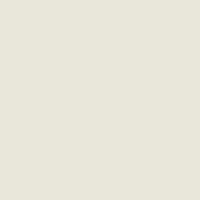 Indoor floor coverings - Glazed White Porcelain Stoneware Tile 20x20 - EUGO1481 (Ceramishop.fr) - CERAMISHOP