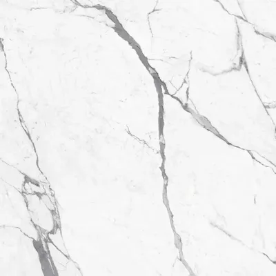 Revêtements sols intérieurs - Grès Cérame Effet Marbre Statuaire Blanc Mat 60X120 - ESSU180 (Ceramishop.fr) - CERAMISHOP